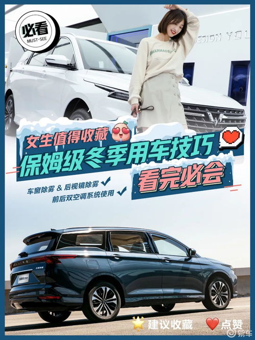 蒲城汽车保姆价格多少